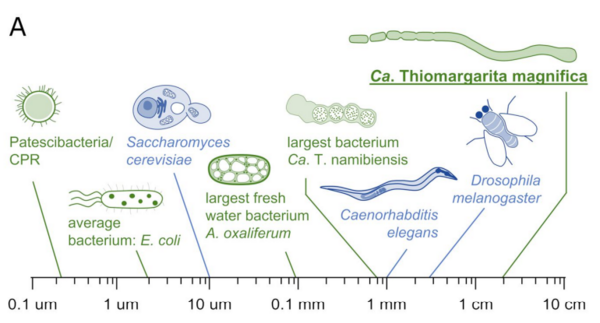 1660108521458561.png 圖片1.png