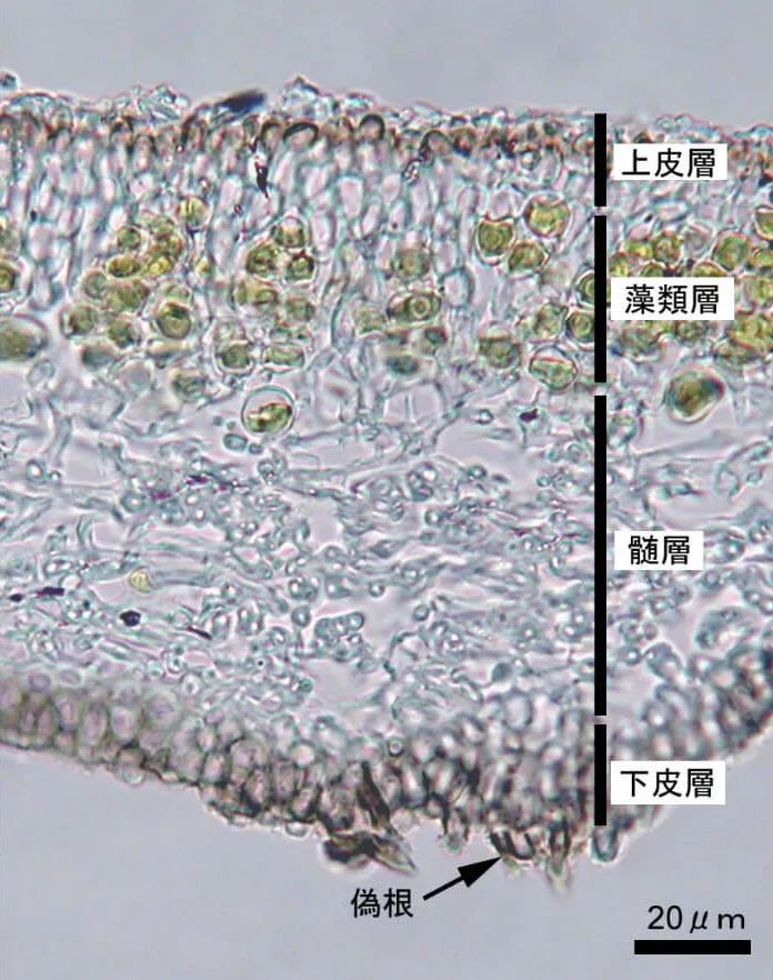 1663208071524387.jpg 1663208071524387.jpg