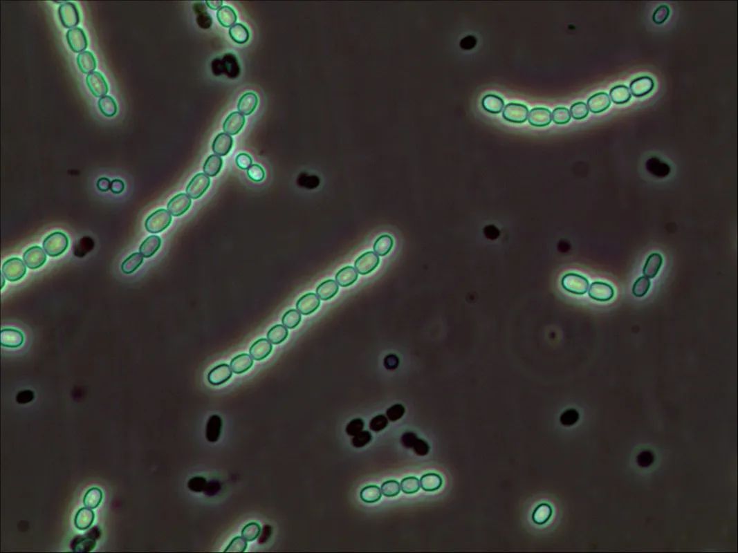 1663208104182796.jpg 1663208104182796.jpg