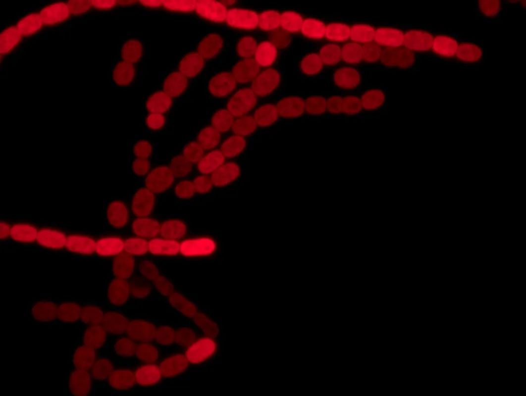 1663208209409674.jpg 1663208209409674.jpg