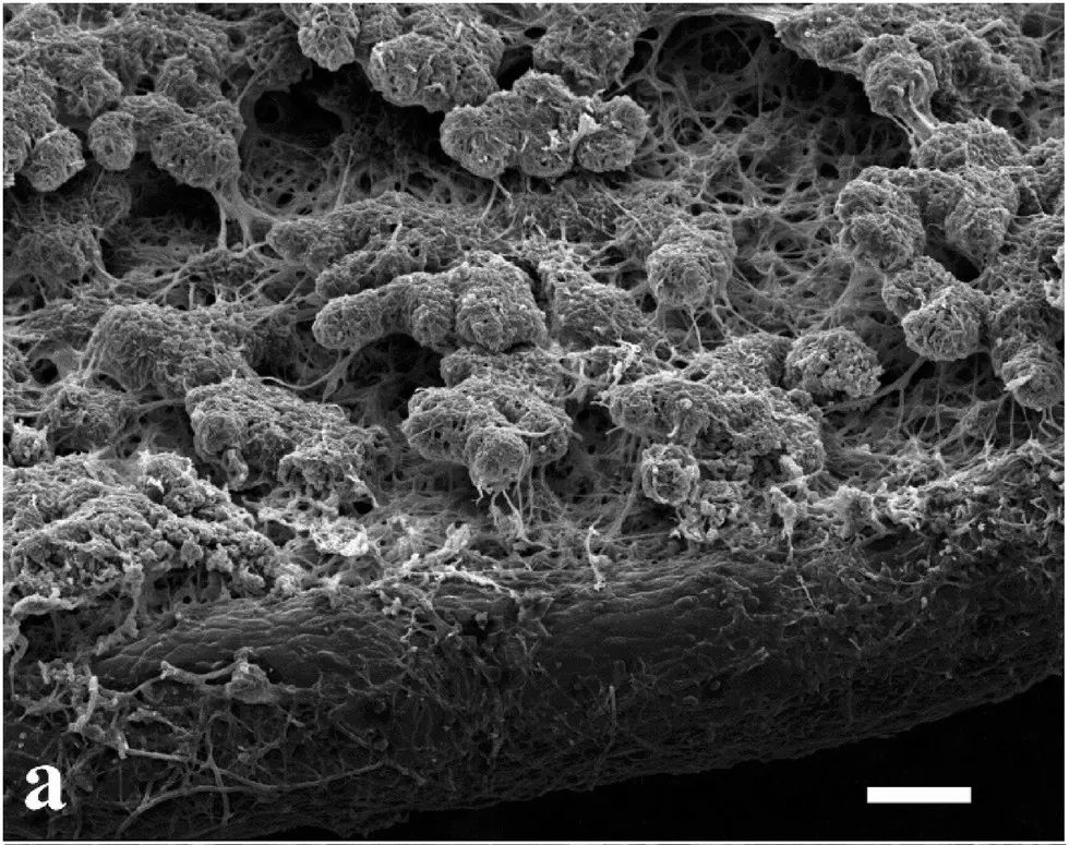 1663208247159864.jpg 1663208247159864.jpg