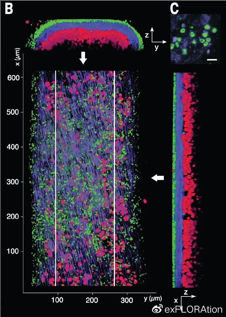 1663208279201417.jpg 1663208279201417.jpg