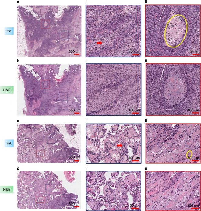 1663645946825571.png 1663645946825571.png