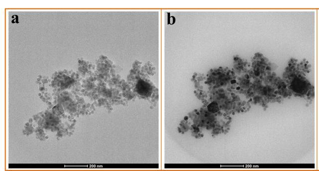 1665546704131238.png 1665546704131238.png