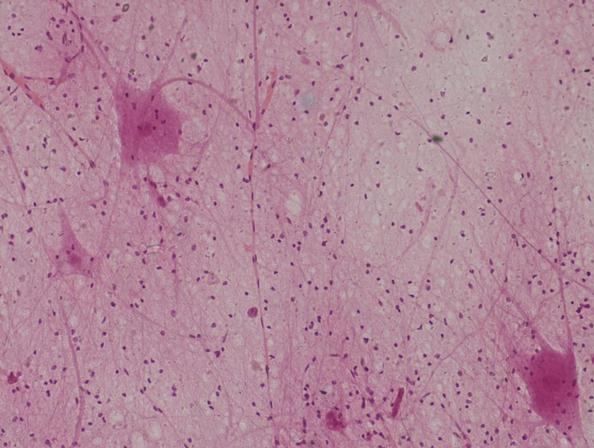 1665638138133802.jpg 1665638138133802.jpg