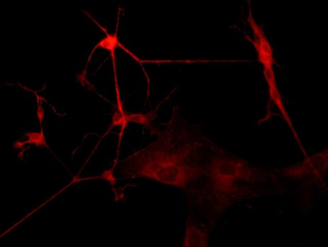 1665638249539569.jpg 1665638249539569.jpg