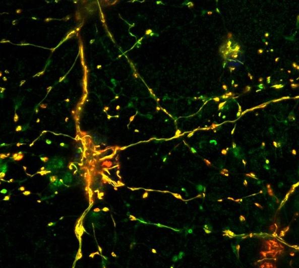 1665638277692237.jpg 1665638277692237.jpg