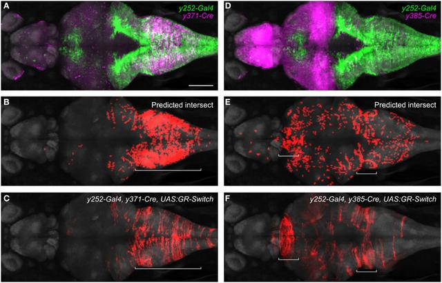 1665638309823005.jpg 1665638309823005.jpg