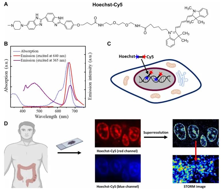 1665719288199132.jpeg 1665719288199132.jpeg