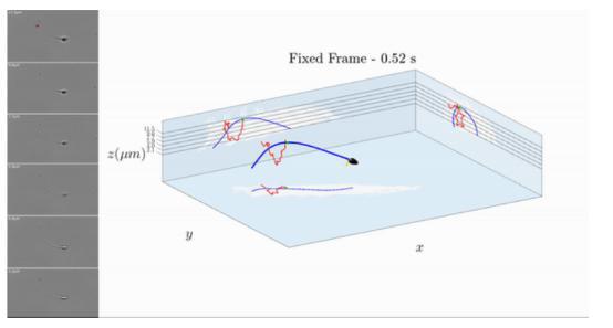 1665986348829150.jpg 1665986348829150.jpg