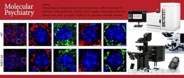 1666147791748738.png 1666147791748738.png