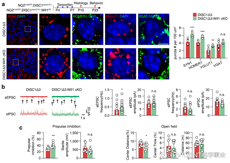 1666148115642781.png 1666148115642781.png