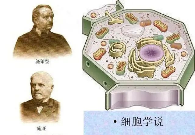 1666245213111913.jpg 1666245213111913.jpg