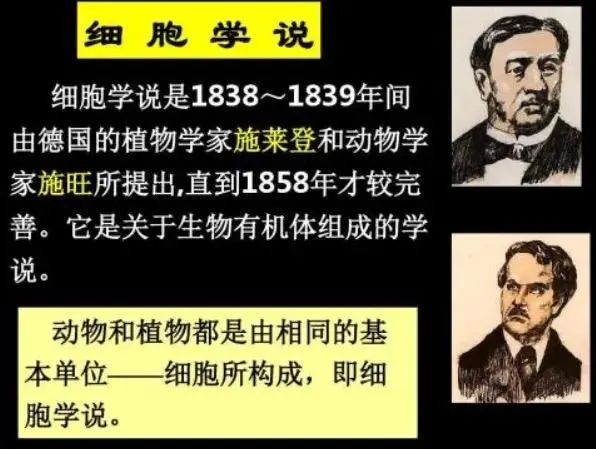 1666245279586795.jpg 1666245279586795.jpg