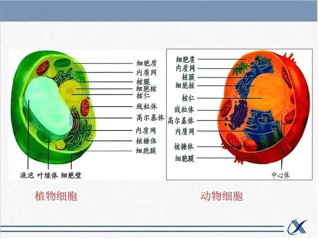 1666245319894338.jpg 1666245319894338.jpg