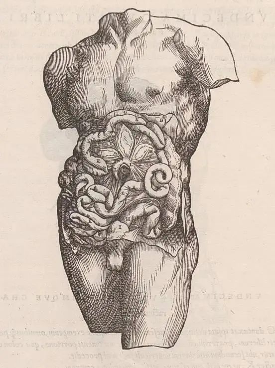 1666245454167519.jpg 1666245454167519.jpg