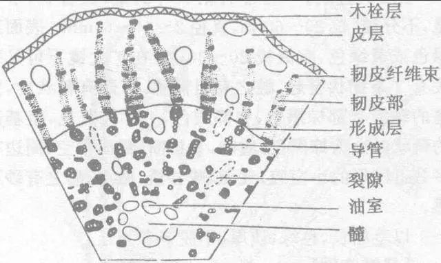 1666245603123915.jpg 1666245603123915.jpg