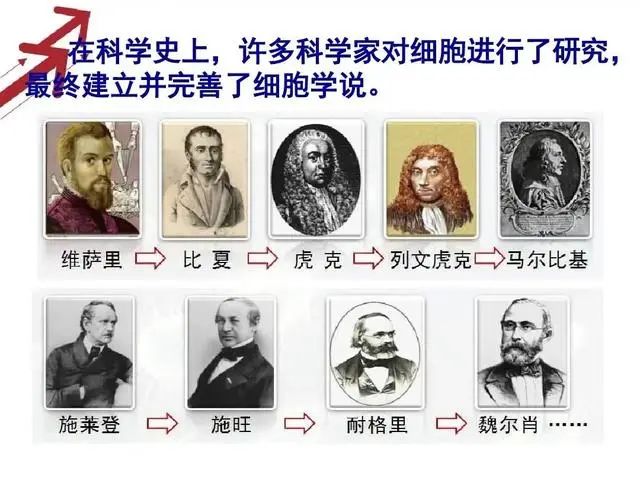 1666245702884305.jpg 1666245702884305.jpg