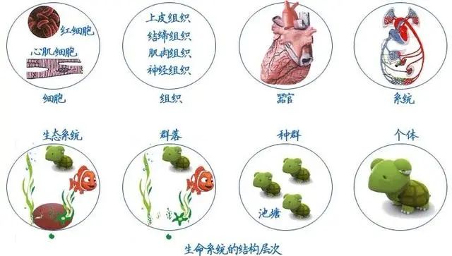 1666245849105250.jpg 1666245849105250.jpg