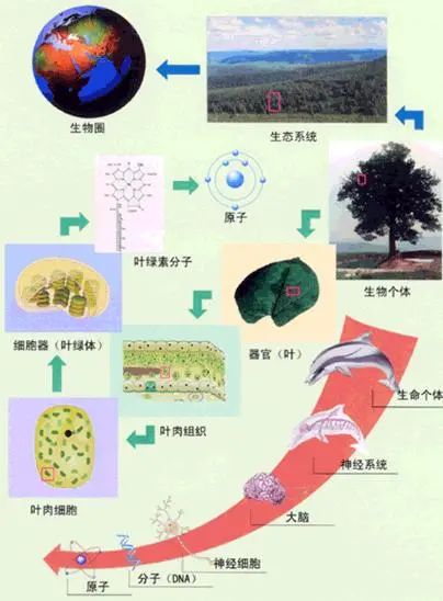 1666245880427287.jpg 1666245880427287.jpg