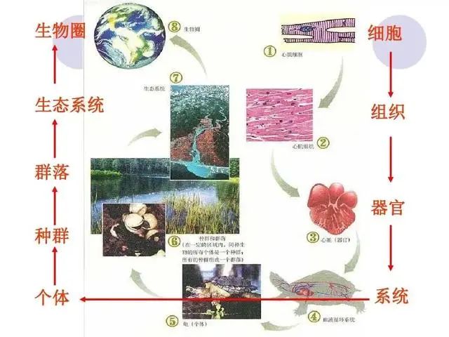 1666245909656206.jpg 1666245909656206.jpg