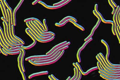 1666323883151410.png 1666323883151410.png