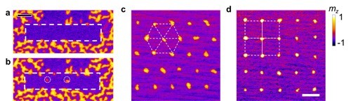 1672042701472244.jpg 1672042701472244.jpg