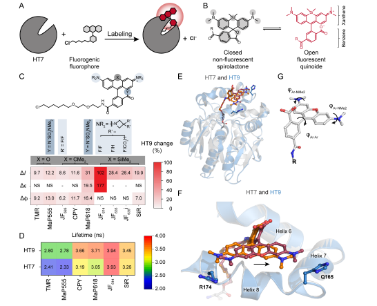 1681967572538067.png 1681967572538067.png