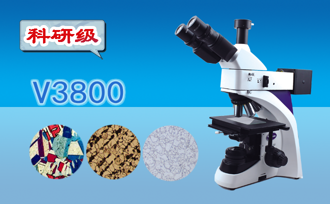 1691388970164639.png 金相顯微鏡.png