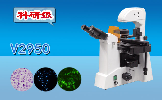 1693201710990961.png 熒光顯微鏡.png